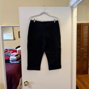 Everlane Capri Pants with Side Zipper